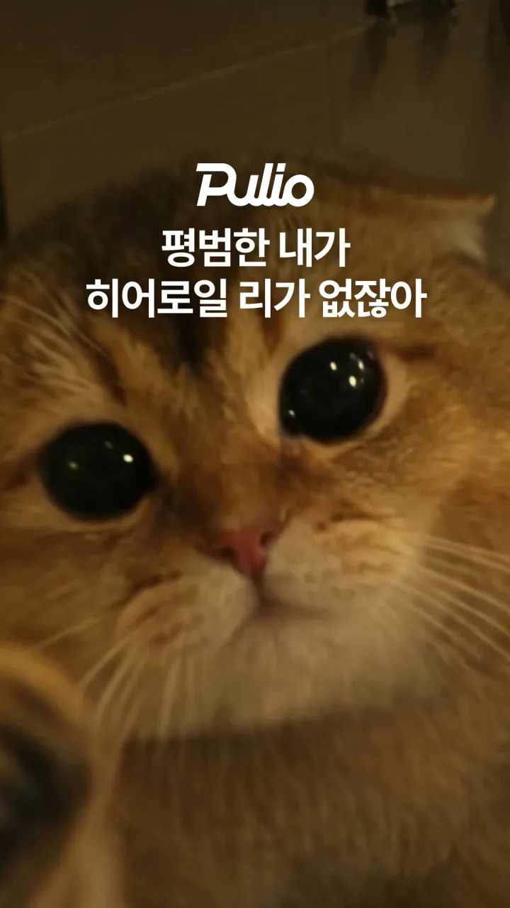풀리오 광고 영상